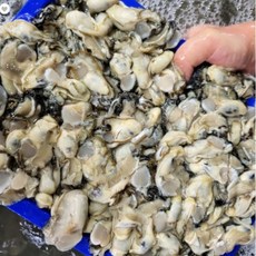 바다의우유 통영 생굴 1kg (실중량750-800g) x5개 (아이스박스+빙장포장) 산지직송배송/ 청정해역통영산, 5개, 1