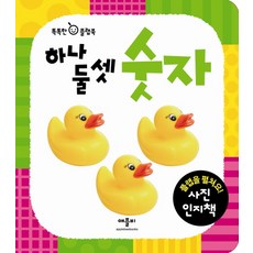 하나둘셋 숫자:플랩을 펼쳐요 사진 인지책, 애플비북스, 없음