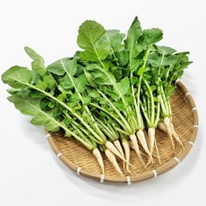 [사계절청년농부] 아삭한 국내산 포천 열무 얼갈이 배추, 1박스, 열무 4kg