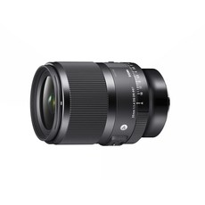 (Sigma) SIGMA L 35mm F1.4 DG DN Art 시그마 시그마 마운트 렌즈 단 초점 광각 풀