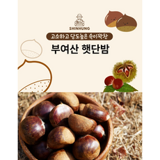 25년 하동 햇밤 농장 직판 (대 사이즈), 1박스, 2kg