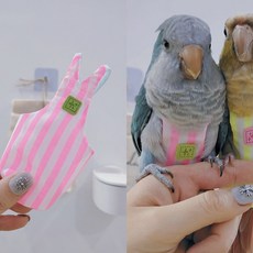 小鸚鵡螢光條紋 尿布 尿褲 屎尿便兜, 1個, 螢光粉,玄鳳鸚鵡款