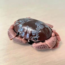 만다이 대표 생물 크랩 거북이 거미 거미집게, 1개