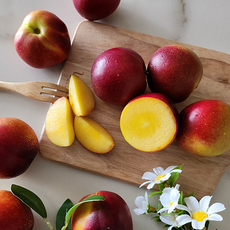 [산지직송] 천도복숭아 제철 맛있는 품질선별 로얄과, 1kg, 1박스