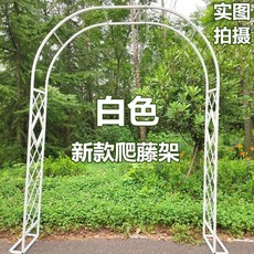 장미아치 넝쿨아치 장미울타리 정원 화단 지지대, BJ. 흰색 너비 2 미터 2 높이 2 미터 , A., 1개
