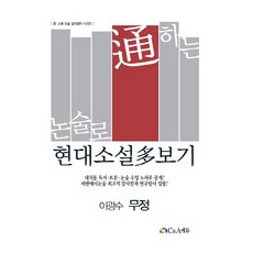 論述貫通現代小說： 李光洙 無情, 論述/寫作, C&A教育