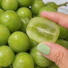 [한정특가] 초고당도 프리미엄 샤인머스켓 망고포도, 1개, 4kg(4-5수 [고당도]BEST인기)