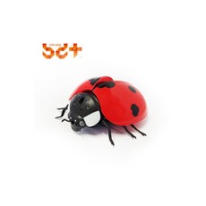 FOU 반디 무당벌레 RC(22207)