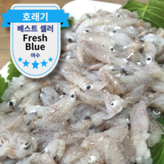 남해안 자연산 호래기회 생물 싱싱 꼴뚜기, 1박스, 500g