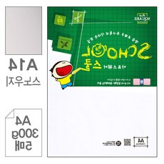 벡스트리아 스노우지 A4 300g 5매 미술수업종이 카탈로그용지 명함용지 인쇄용지