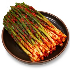 푸드지 파김치, 3kg, 1개