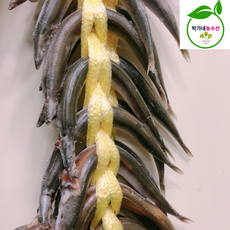 국내산 동해 생물 반건조 알배기 양미리, 1개, 동해 반건조 양미리 1두릅(20미)30%건조