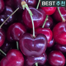 [타임특가] 백화점납품용 고당도 미국산 생 체리, 1박스, 1kg(대)