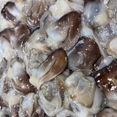 제철 초코 새조개 샤브샤브 손질 초코새조개, 1개, 200g