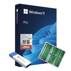 한국정품인증점 MS 윈도우 11 프로 Windows Pro FPP 영구사용 USB설치 제품키 + 엑셀 단축키 마우스패드, 단품