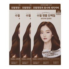 수월 명품 단백질 세치커버 염색약 5S 3개