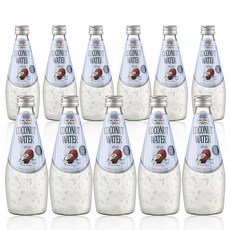미스터초이스 코코넛워터 위드 펄프 11개(290mlx11개) 주스음료수과일, 290ml, 11개