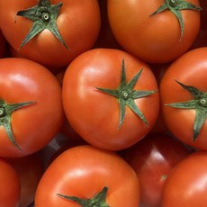 [신선배송] 완숙 토마토 5kg / 당일선별 / 특품, 1박스