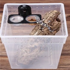 어번던트코리아 파충류 먹이그릇 레오파드게코, 2구, 1개