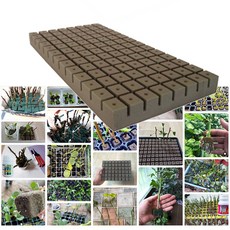 삽목용 오아시스 104구 1장, 3개