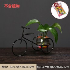 桃園出貨 綠蘿水培花瓶透明玻璃創意水養植物花器鐵藝客廳桌面裝飾品小擺件