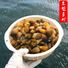 [통영 진동] 싱싱한 횟감 오만둥이 오만디 미더덕 손질 생물 제철 당일조업, 1개, 비손질 원물 오만둥이 1kg