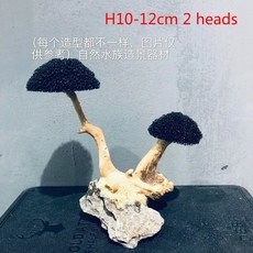 수족관 유목 조경 장식 어항 목재 DIY 공예 장식, H10-15cm 2 heads