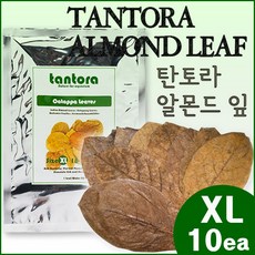 탄토라 알몬드잎 나노 M XL / 수족관 어항 수조 수질안정 영양제 PH 하강 발색강화 약품 구피 열대어 쉬림프 CRS 관상 새우