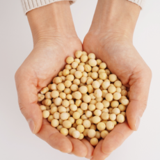 국산 백태 500g 대두 메주콩 청국장 두부, 1개