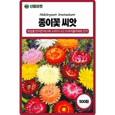 아람종묘 종이꽃 씨앗 500립 밀짚꽃씨 야생화 종자, 1개