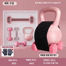 지니픽 팔뚝살빼는운동기구 운동 팔뚝살 다이어트, 1개, 1g, 6kg 핑크 + 2kg + 저항 밴드