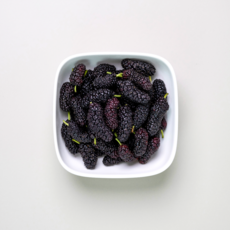 신선 새콤달콤한 국내산 오디 과상 2호 냉동오디 안토시아닌푸드, 1박스, 특품 1kg