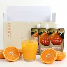 리얼 순수 감귤주스 과일즙 과일주스 감귤하나, 10개, 120ml