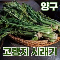 부드럽게 삶아냉동한 시래기 최상품 강원도양구산, 5개, 200g