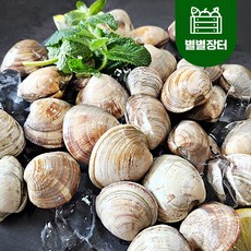 활 백생합 2kg(30미내외) 제철 생합 조개, 백생합 2kg, 1개