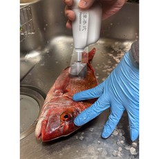 TD桃園東區釣具 Hapyson x Tsumoto Style 充電式除鱗器，輕鬆去鱗、安全磨刀，釣魚愛好者必備, 1個