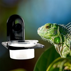 2구 파충류 먹이그릇 물그릇 밥그릇, 1개