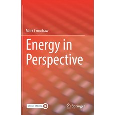 Energy in Perspective Hardcover, Springer, English, 9783030635404