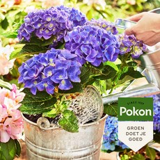 포콘 BIO 수국용 분갈이흙, 30L, 1개