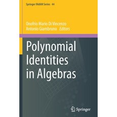 (영문도서) Polynomial Identities in Algebras Paperback, Springer, English, 9783030631130