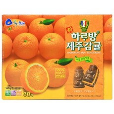 제주 코롬방 감귤초콜릿, 186g, 1개
