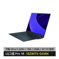 LG전자 2025 그램 Pro AI 16 WQXGA 코어Ultra5 루나레이크, 메탈그레이, 256GB, 16GB, WIN11 Home, 16Z90TS-GS56K