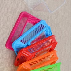 보리디자인 곤충 채집통 미니