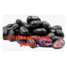 S.N. FOOD FROZEN BLACKBERRY(PLUM)(냉동 블랙베리)방글라데시과일 500G/1통, 미개봉상태에서 24시안으로 반품가능, 500G, 1개