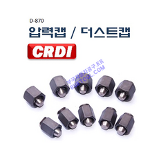 DMS D-870 D870 더스트캡 CRDI압력캡 CRDI마개 커먼레일압력캡 커먼레인압력캡 인젝터압력캡 인젝터캡 CRDI수리공구 CRDI테스터기 CRDI압력캡/더스트캡, 보쉬14mm