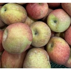 [초특가 사과] 경북 산지직송 가정용 주스용 못난이 사과, 10kg(대과), 1개