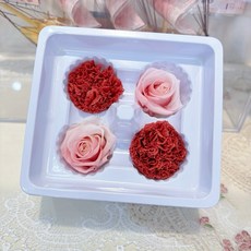 永生花組合 索拉花花束 永生玫瑰花材, 08安哥拉紅x雙色永玫,兩組+贈獨家索拉通草花*1（最後pic色