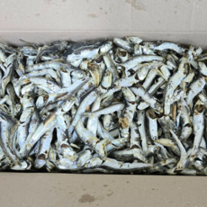 햇 국물멸치 1.5kg 가성비 좋은 다시멸치 육수 가정용 식당용 업소용 육질 단단하고 큰 멸치 1.5kg 1개