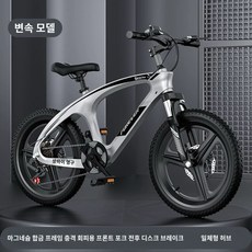 2025년형 초경량 마그네슘 합금 영구 어린이 자전거 10~15세 6~12세 초등학생 자전거, 1개, 140cm, 티타늄 실버A 변속 일체형 바퀴