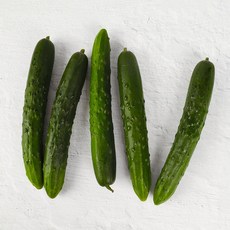 [농협청과33번] 수분가득 신선한 취청오이 3kg (특), 1개